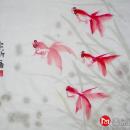曾宇昕 魚樂